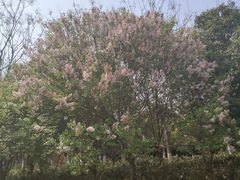 -九里河湿地公园