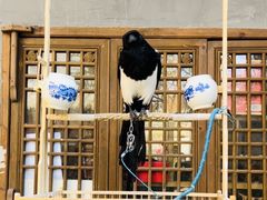 -海窝子古镇