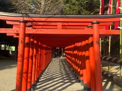 -水前寺成趣园