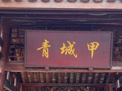 -青城甲(青城山店)