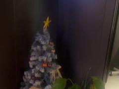 -梵猫·新养生(鹭江大同店)
