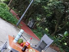 -鹤之洲湿地公园