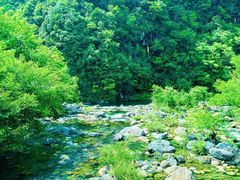 -石台牯牛降景区
