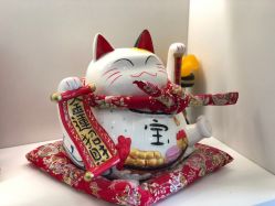 -康颜SPA自然疗愈皮肤管理中心