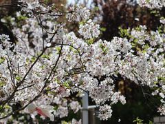 -上海松江区迪笙幼儿园
