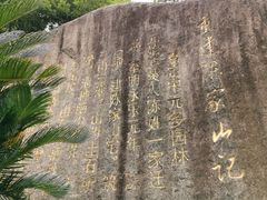 -陈家山荷花公园