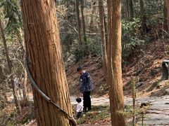 -冶父山国家森林公园