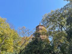 -宝通禅寺