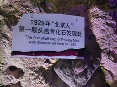 -周口店北京人遗址公园