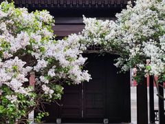 -北京奥林匹克公园