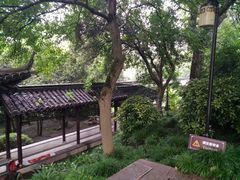 -盆景园(扬州大运河文化旅游度假区)