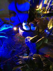 -恐龙探索乐园(磁器口店)