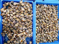 -都斛海鲜街