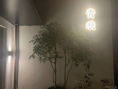-青桃餐厅
