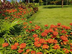 -西双版纳勐泐文化旅游区