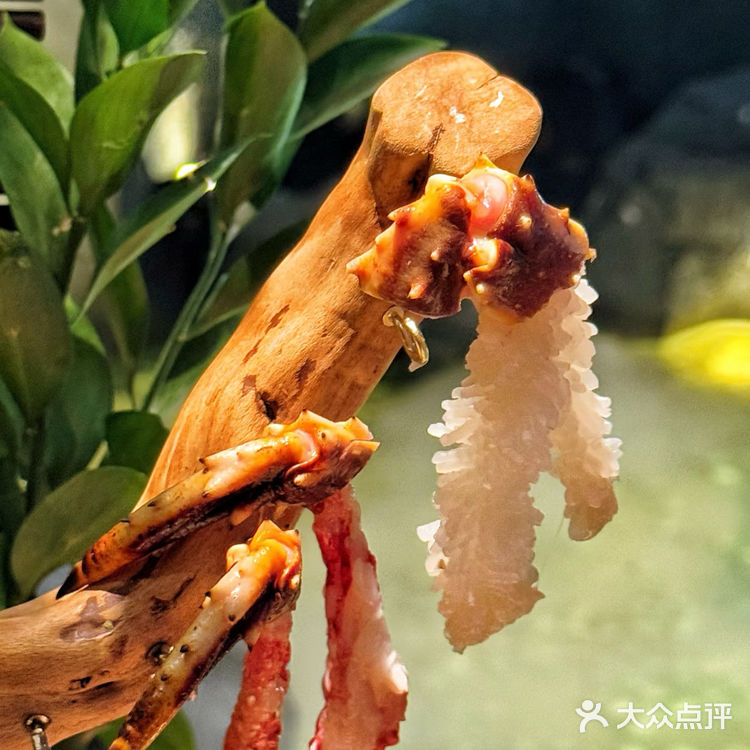 海鲜火锅控的幸福满满