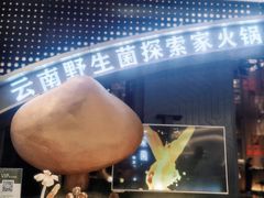 -一朵菌·野生菌探索家火锅(南亚店)