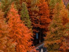 -南京市无想山景区