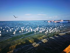 -青海湖二郎剑景区