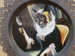 -MOCHA明星猫咖(田子坊店)
