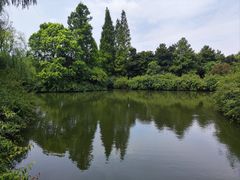-上海滨江森林公园