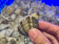 -悦海·家宴·冰花皮皮虾大锅贴(宝龙店)