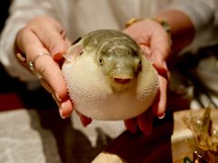 -永安鱼庄·镇江菜(东吴路店)