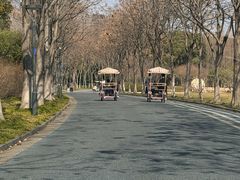 -贡湖湾湿地公园