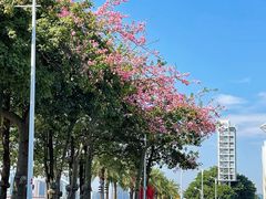 -海心沙亚运公园