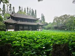 -桂湖森林公园