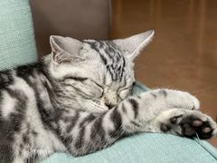 -荔康动物医院(康王北路店)