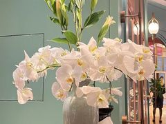 -南堂馆·新川菜(春熙路店)