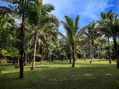 -中国科学院西双版纳热带植物园