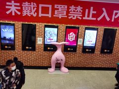 -华美国际影城(旧宫永辉店)