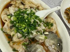 香葱淋鲈鱼-粤·向群饭店(龙津东路总店)