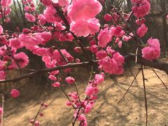 -济南野生动物世界