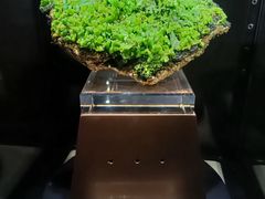 -中国地质大学逸夫博物馆
