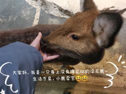 -酷嗒动物文化乐园(cutezoo西溪乐天城店)