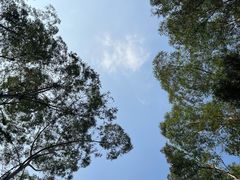 -番禺大夫山森林公园