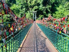 -西双版纳原始森林公园