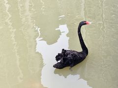 -石排湾郊野公园