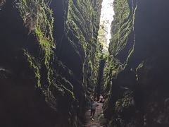 -梭布垭石林景区