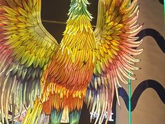 -第35届青岛国际啤酒节