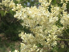 -长春公园(普阳街道)