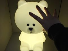 -line friends(明洞旗舰店)