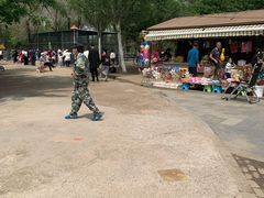 -长白岛森林公园