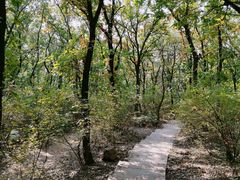 -沈阳辉山风景区