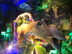 -恐龙探索乐园(磁器口店)