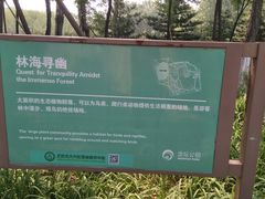 -大兴滨河森林公园