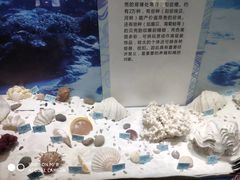 -温州博物馆